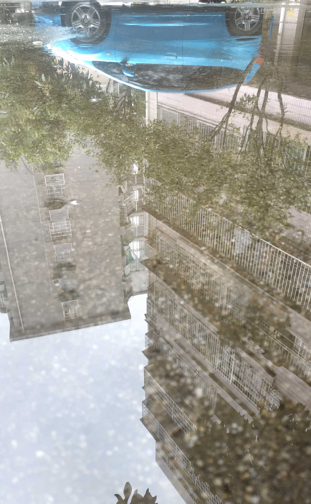 积水中的倒影2