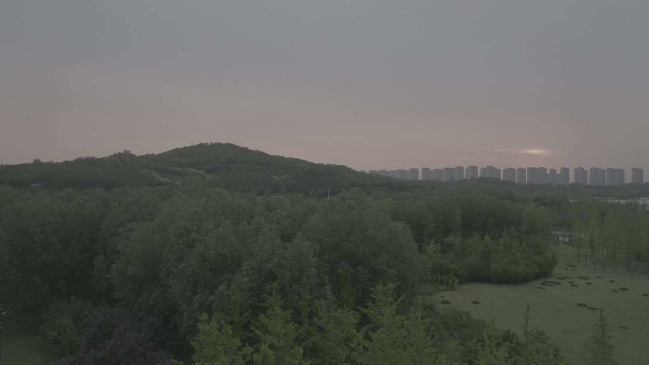 森林中的城市剪影