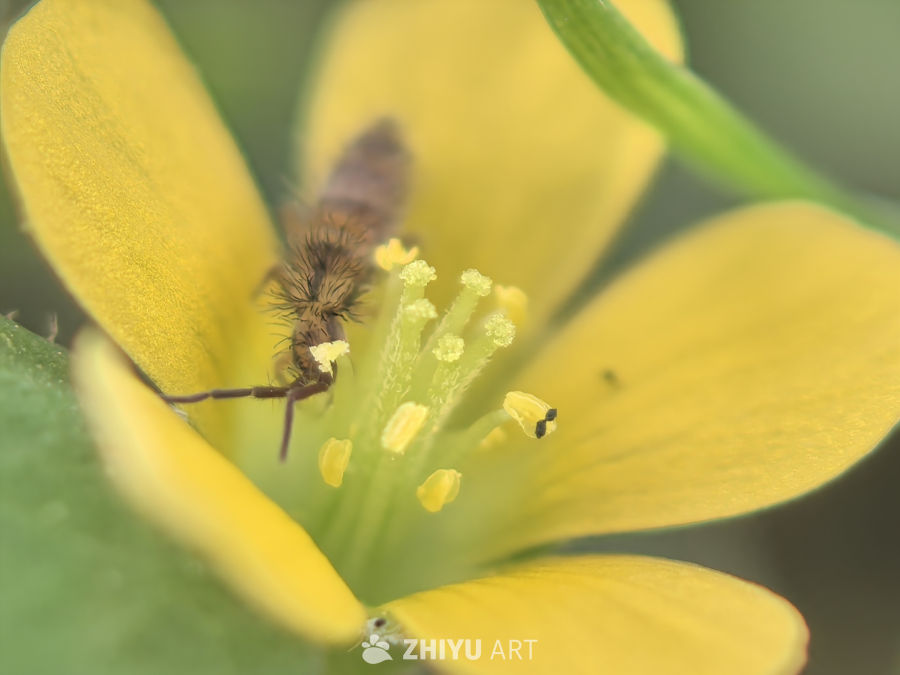 我的世界大于这世界