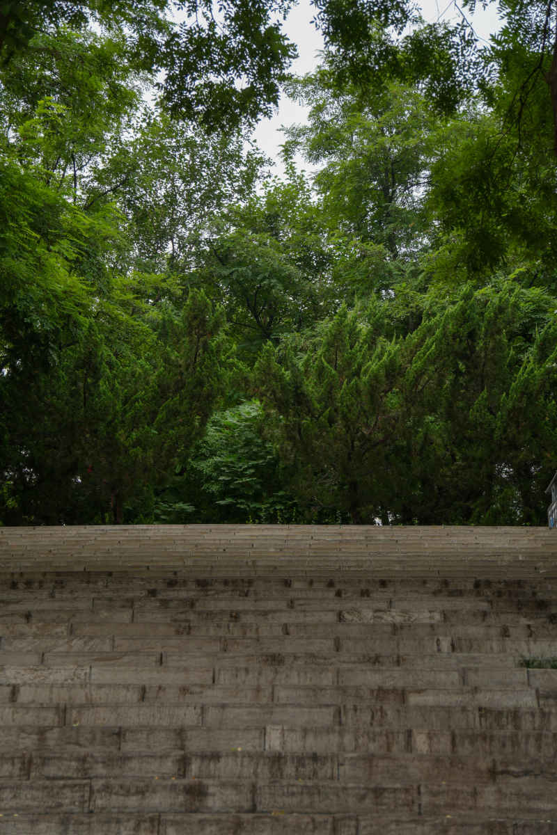 台阶