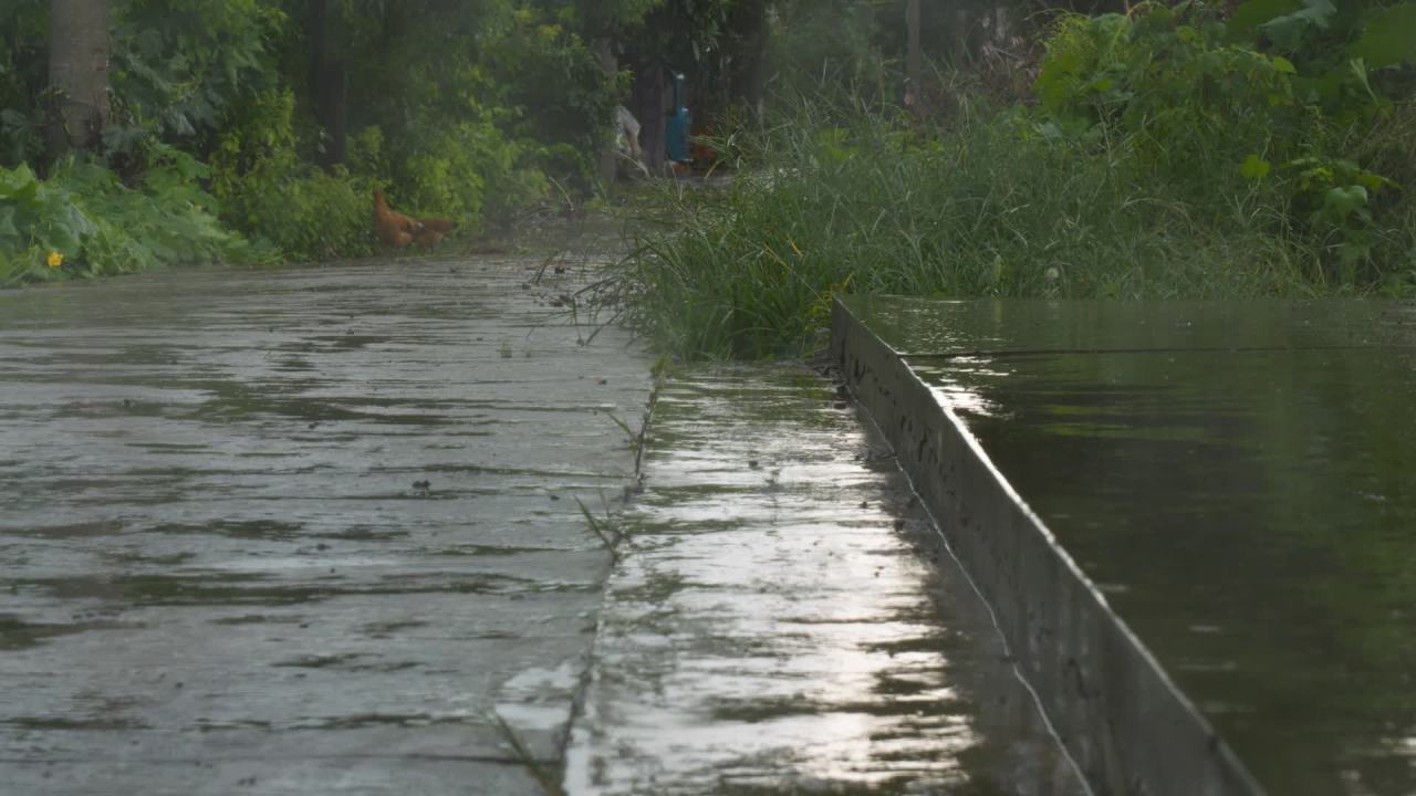 阴天下雨水滴雨滴天气 25