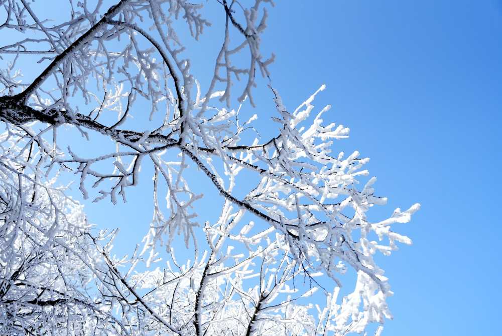 雪落黄山，雾凇云海——雪篇