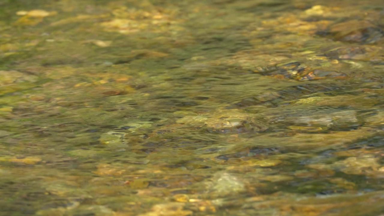 山泉水矿泉水潺潺小溪流水瀑布 19