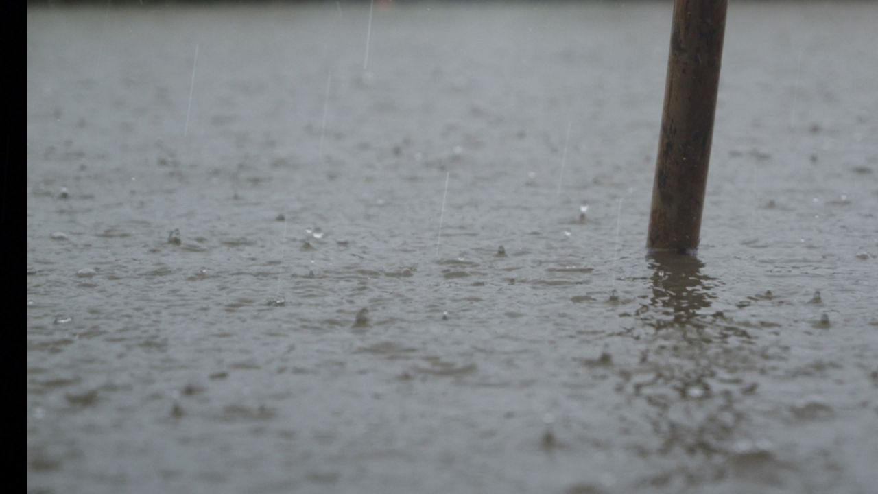 下雨清明谷雨酸雨倾盆大雨蒙蒙细雨 15