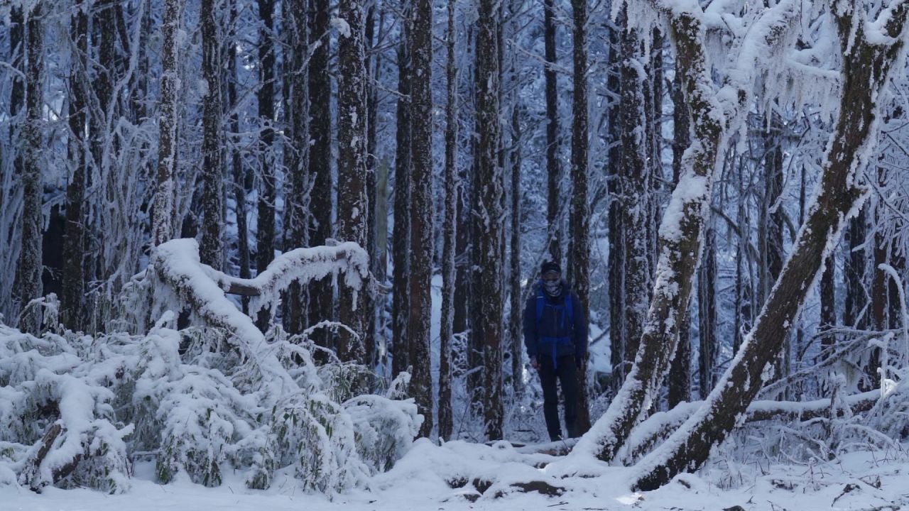 背包客从峨眉山大雪覆盖的森林中走出来