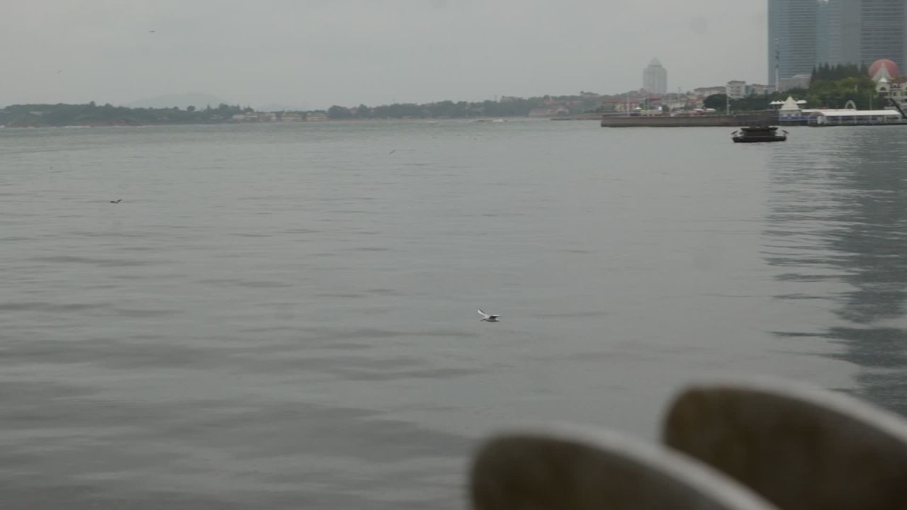 【实拍样片】松下S1M2-6K相机实拍原片视频 6