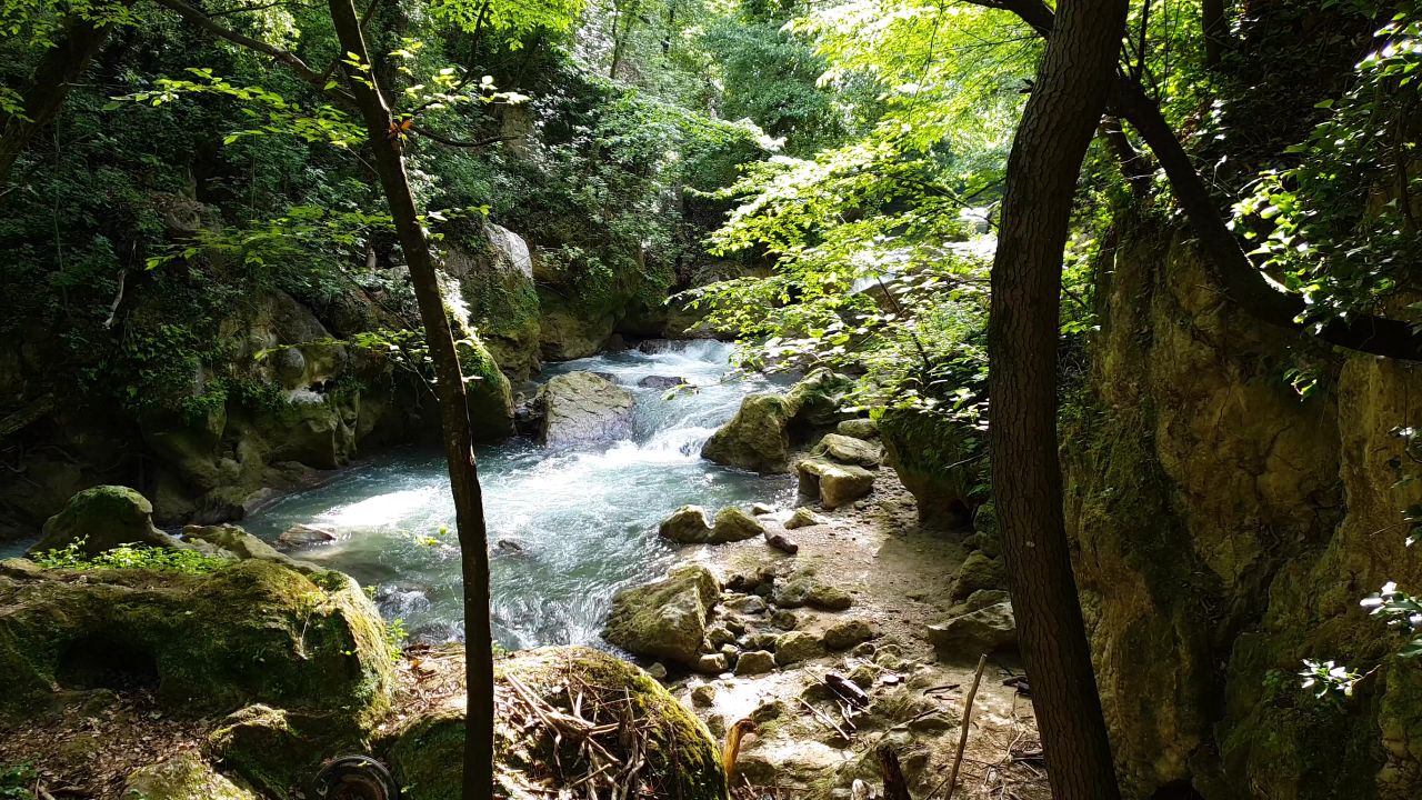 4k水自然河流小溪森林溪流户外风景