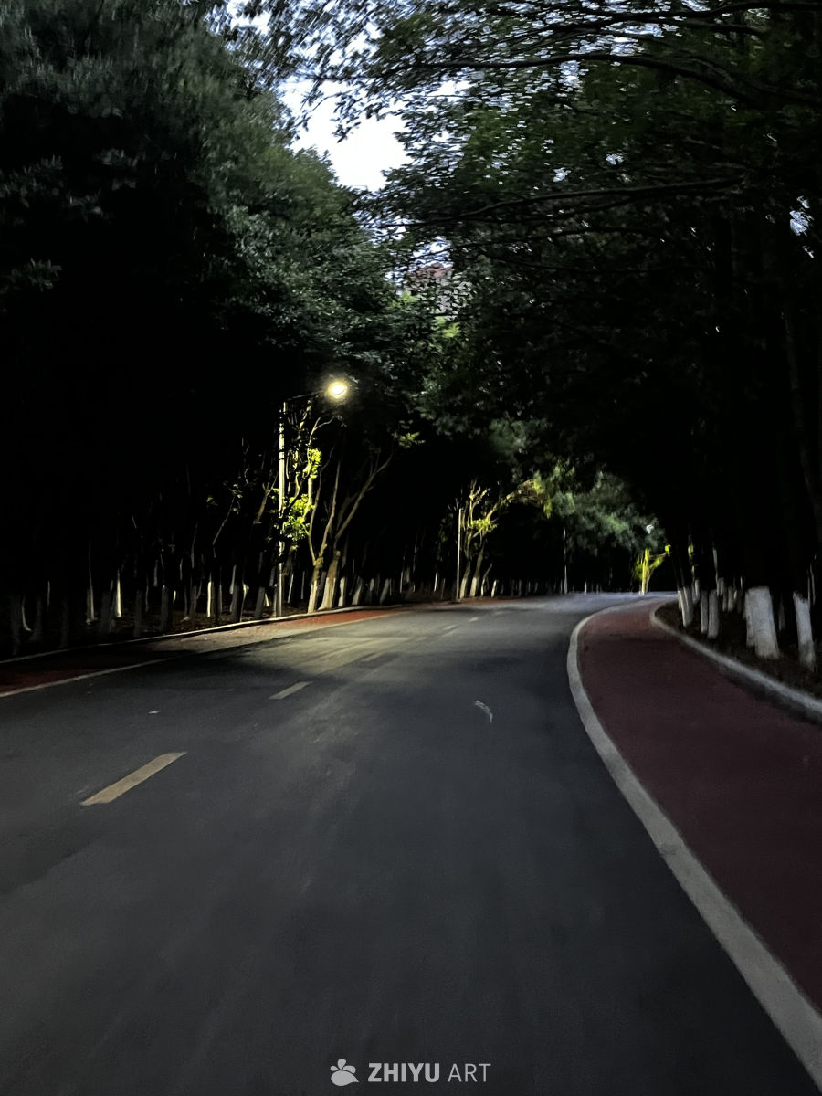 夜幕下的林间小道