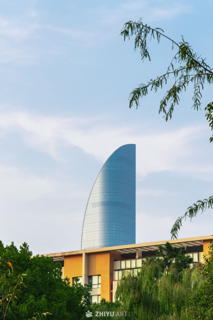 现代建筑与绿树相映