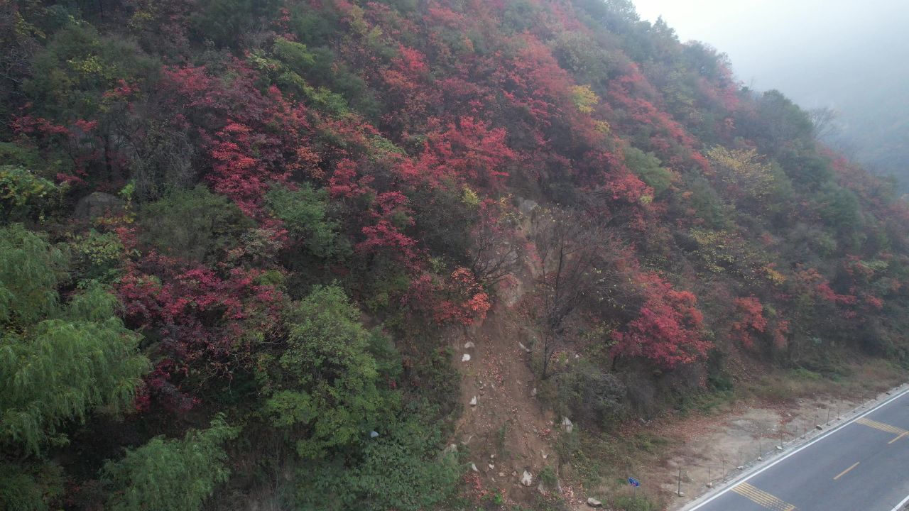 分水岭云海