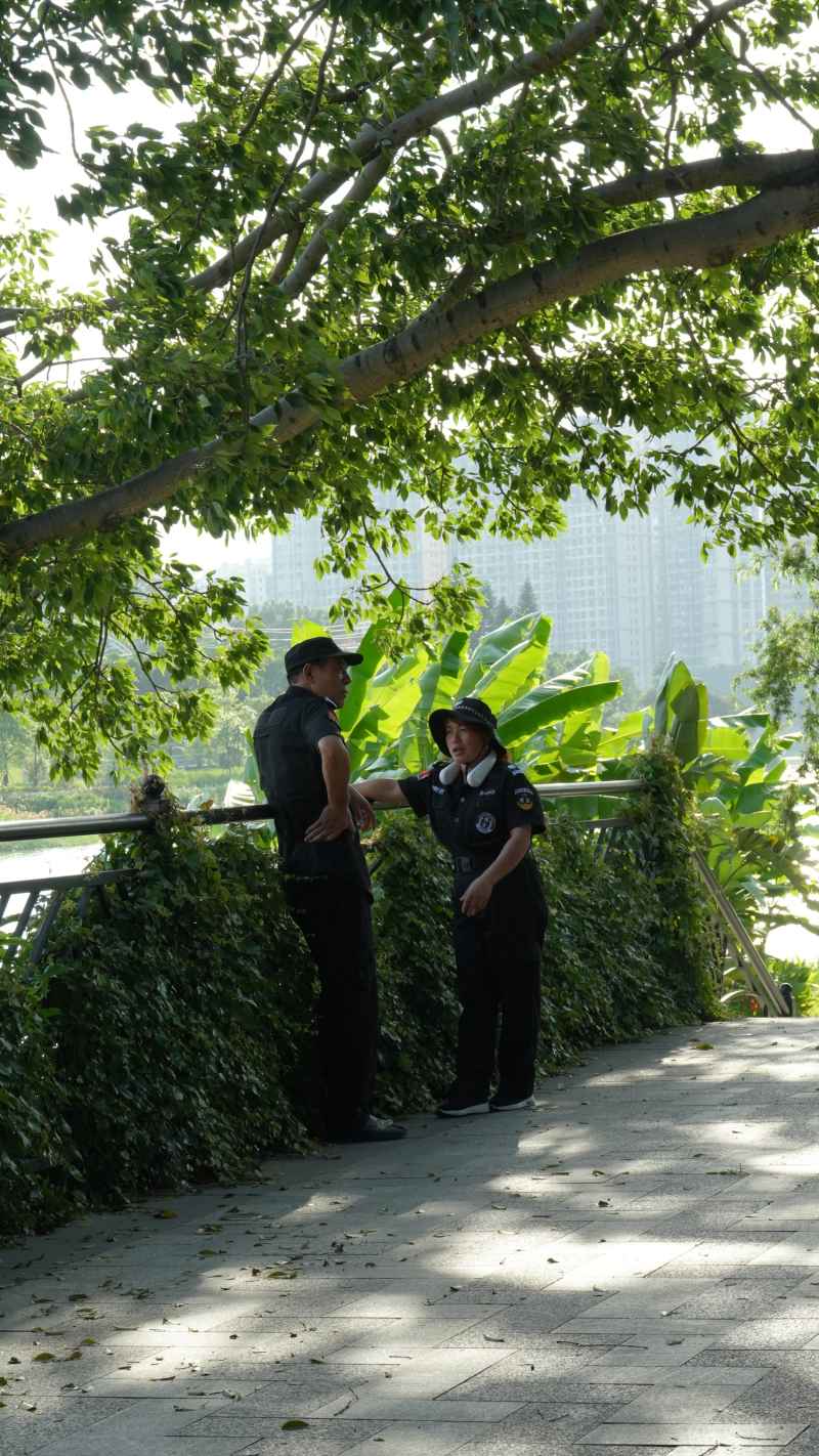 树荫小憩