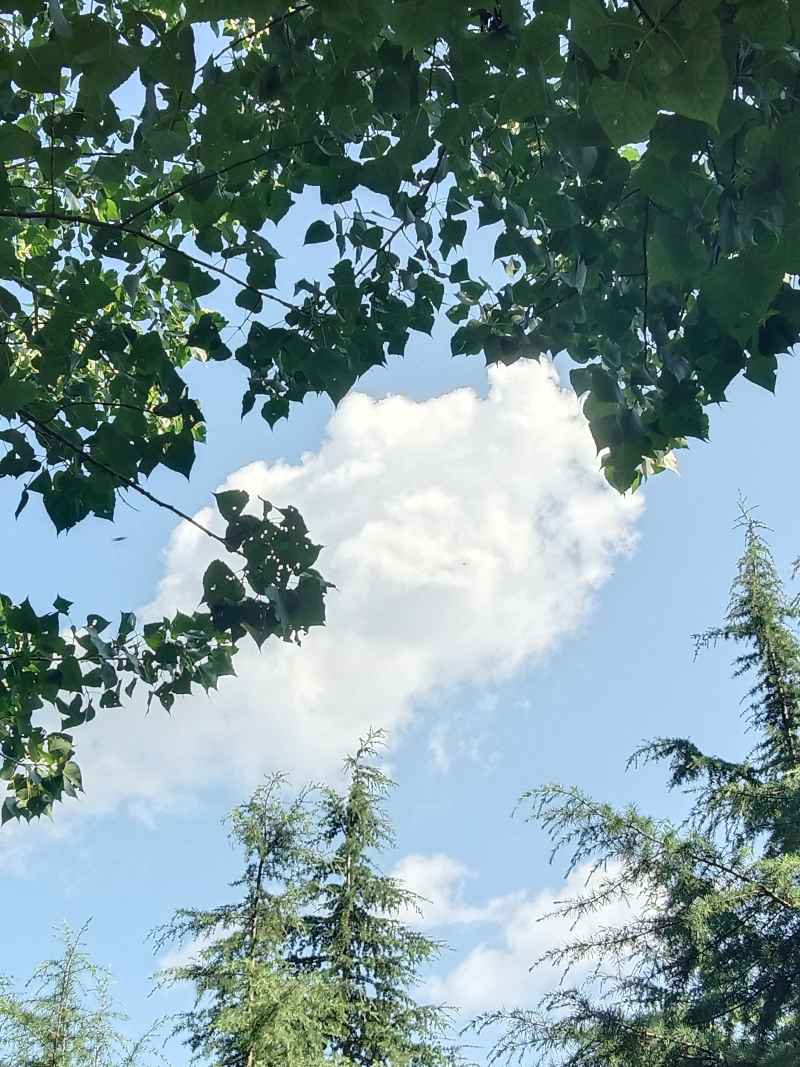 蓝天白云