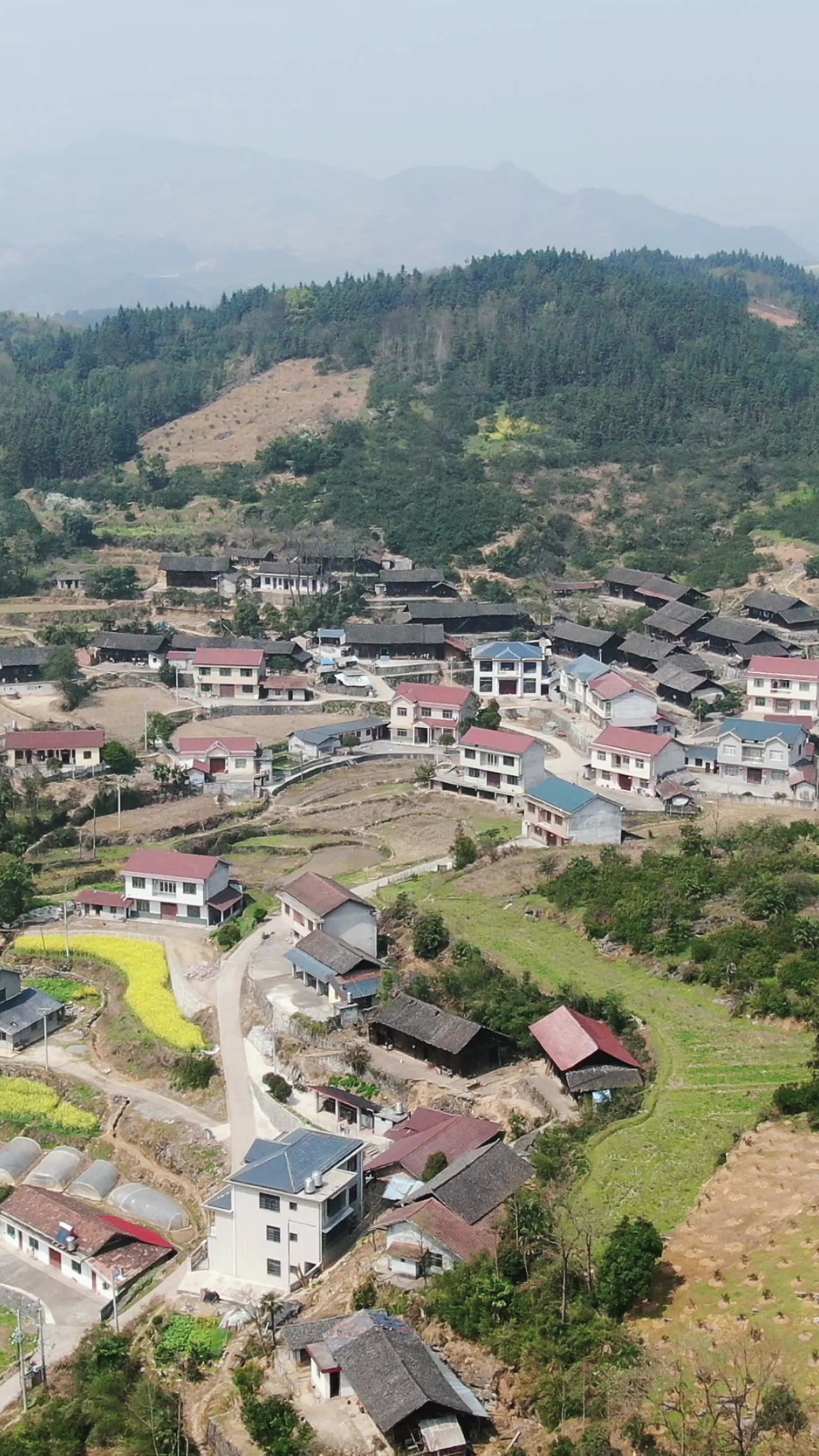 湖南传统村落油菜花竖屏航拍