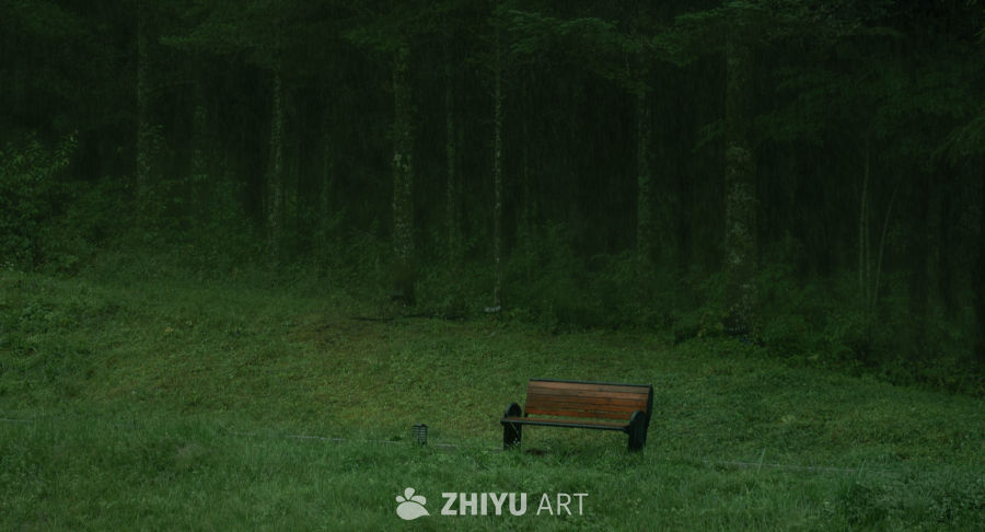 雨后森林的孤独长椅