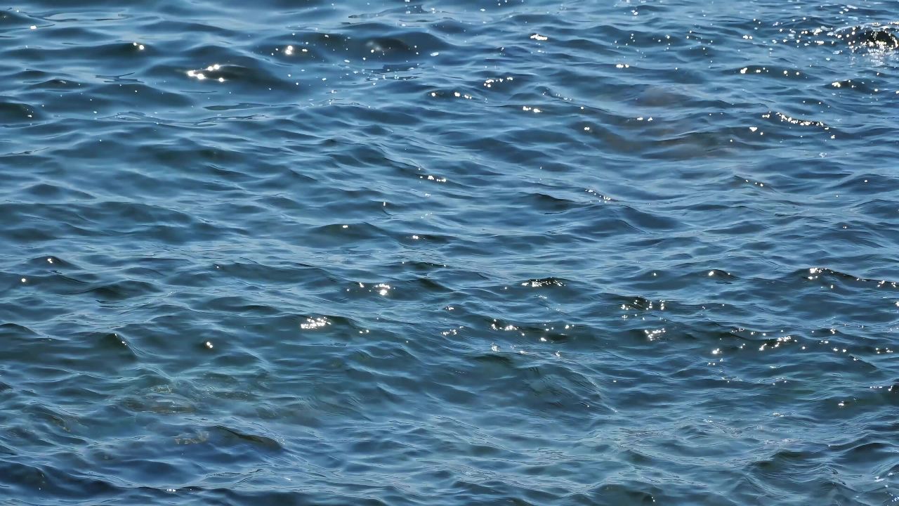 波光粼粼的海面2