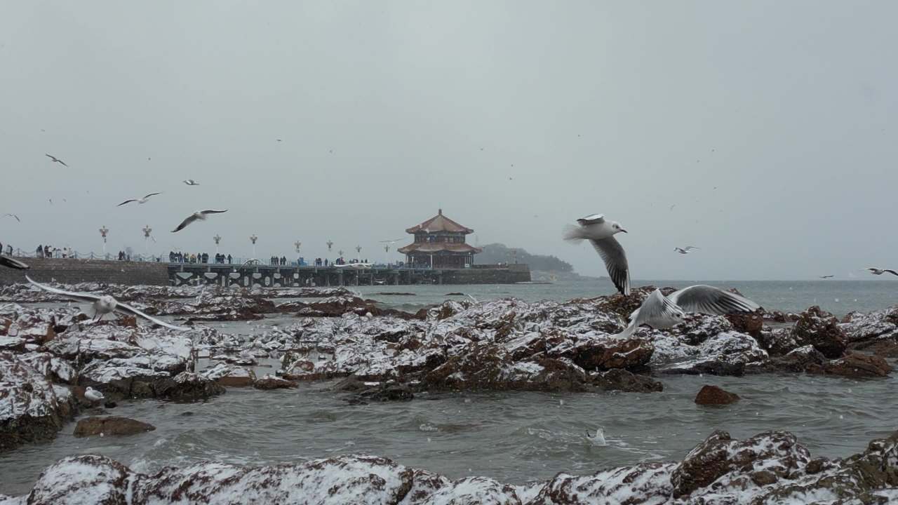 青岛市南老城区栈桥海边雪景航拍 18