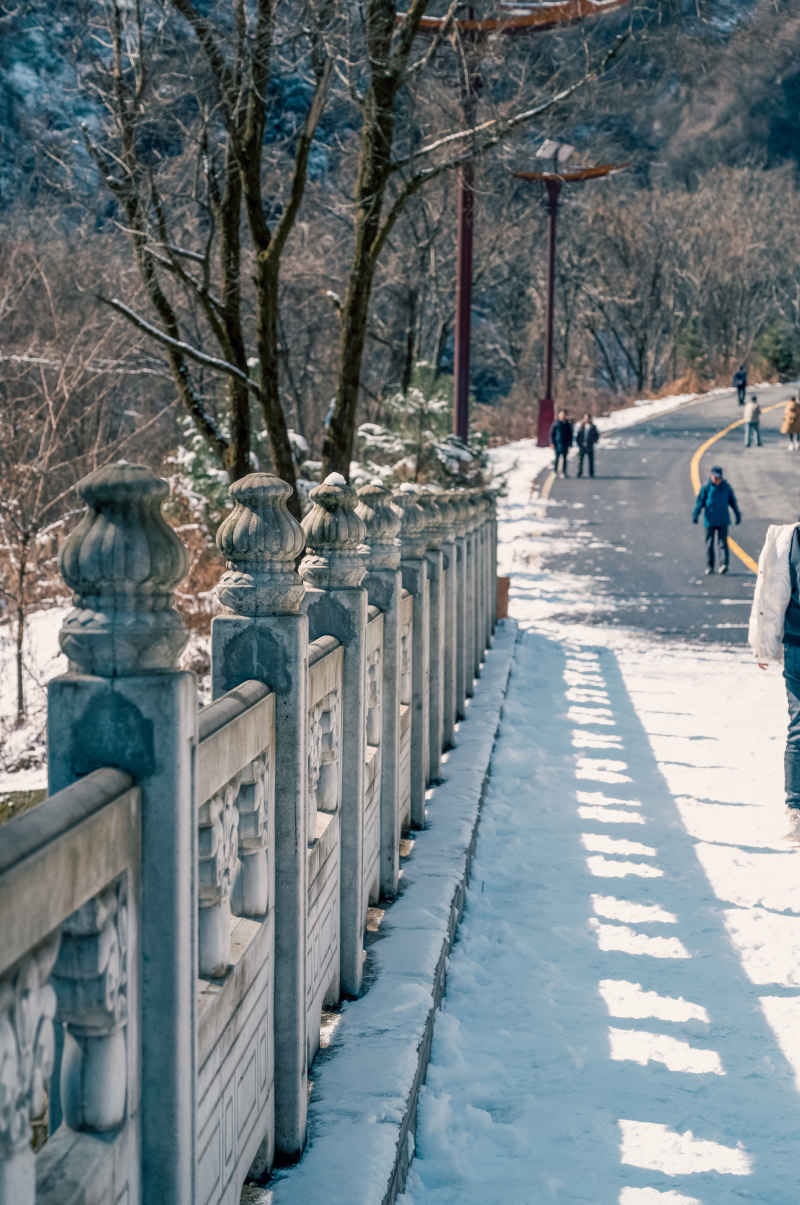 雪道