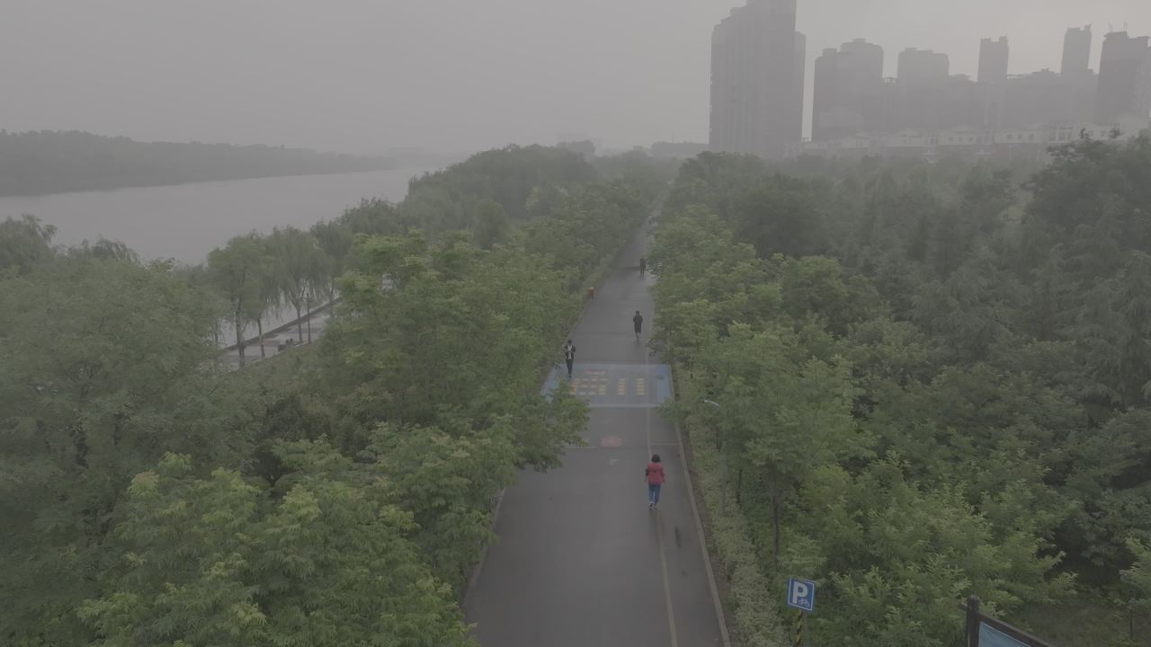 雾中漫步