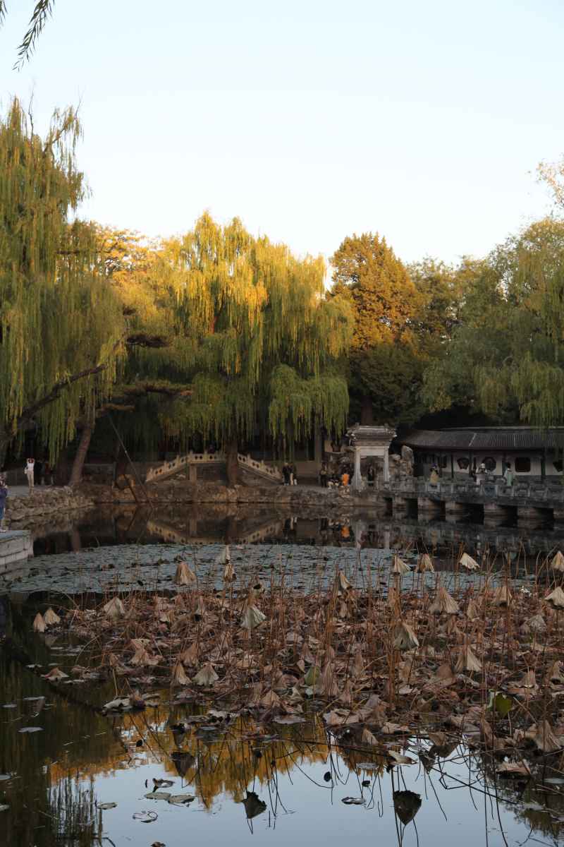 风景 47