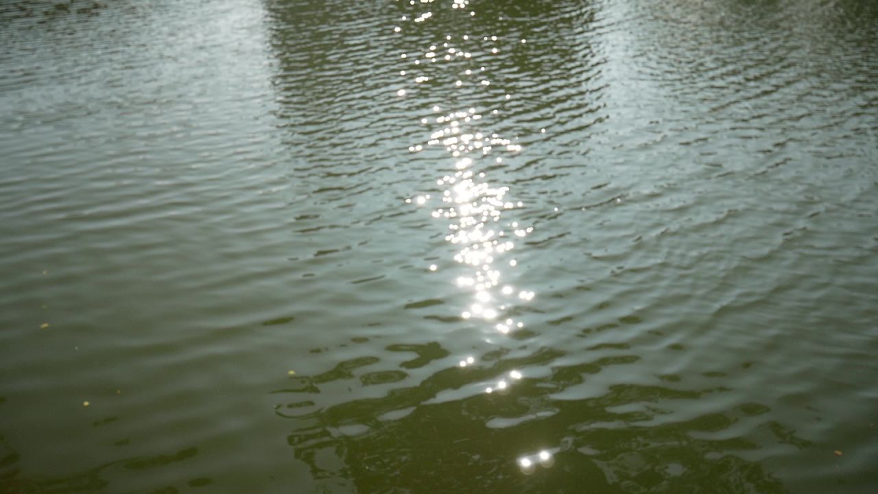 波光粼粼碎金撒