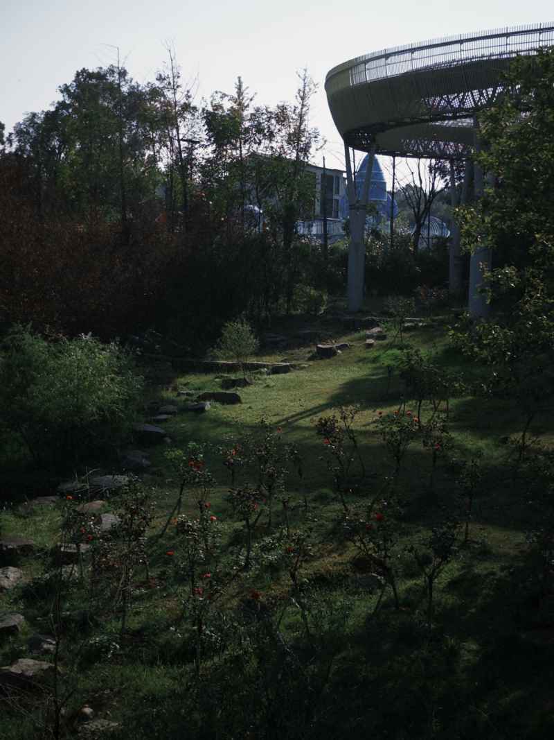 童话小径