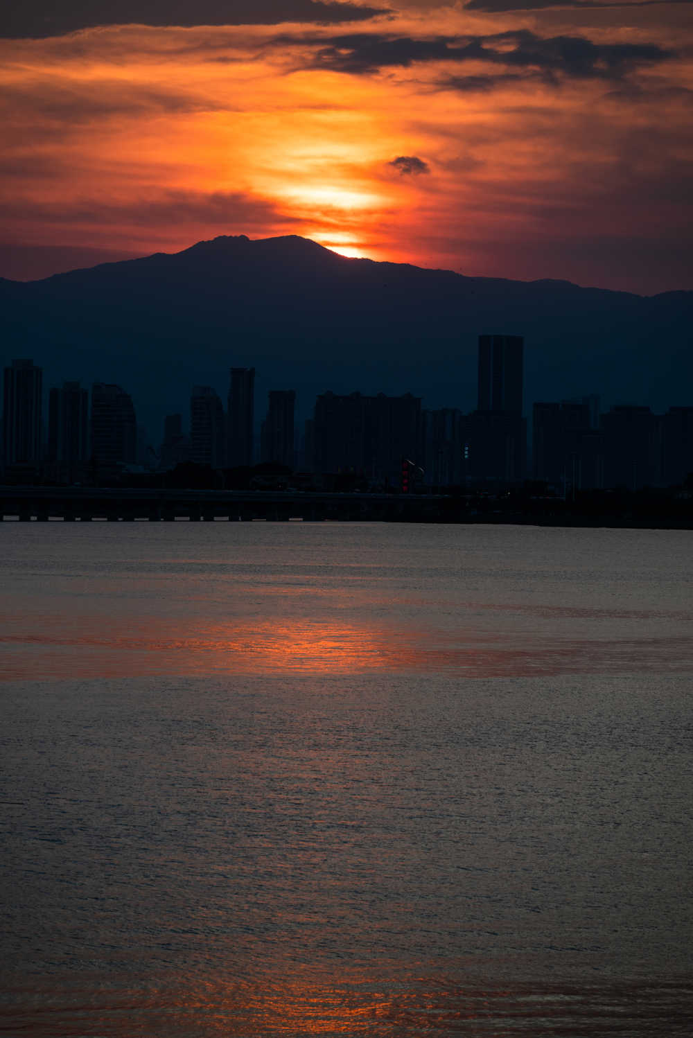 大海赴约