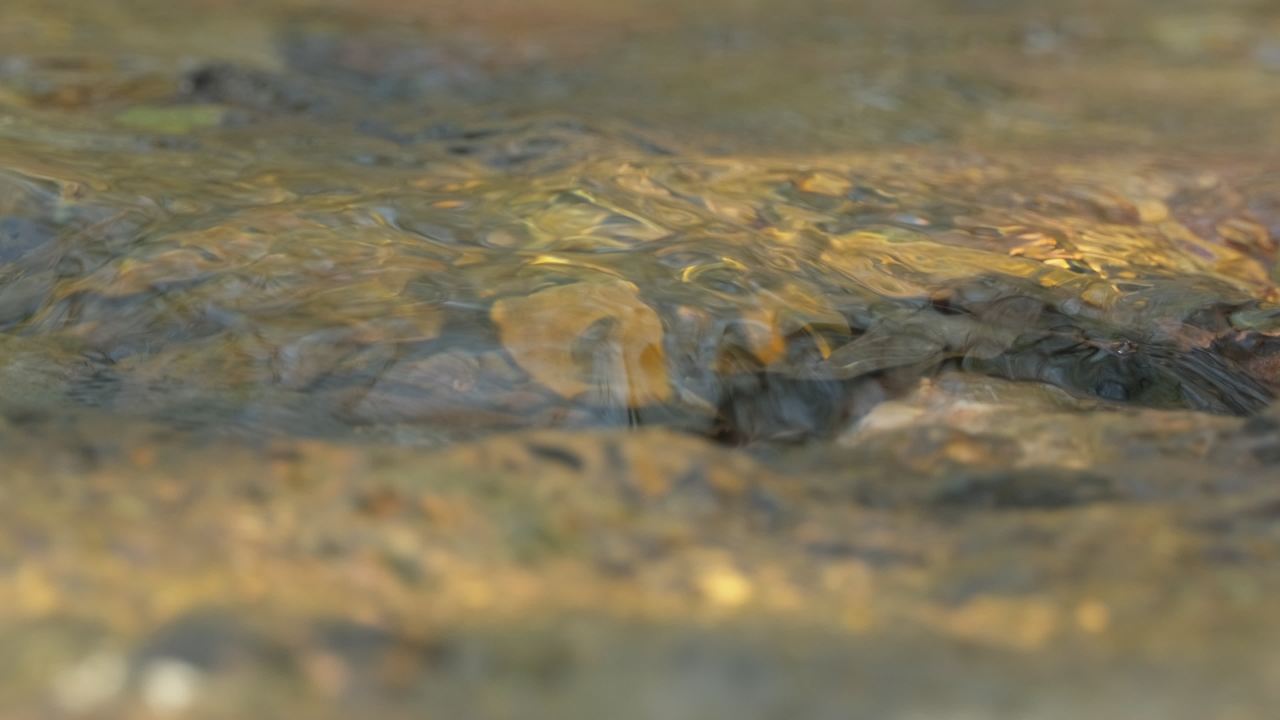 山泉水矿泉水潺潺小溪流水瀑布 8