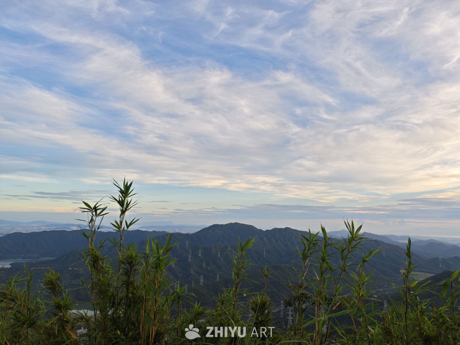 山间竹影与云海