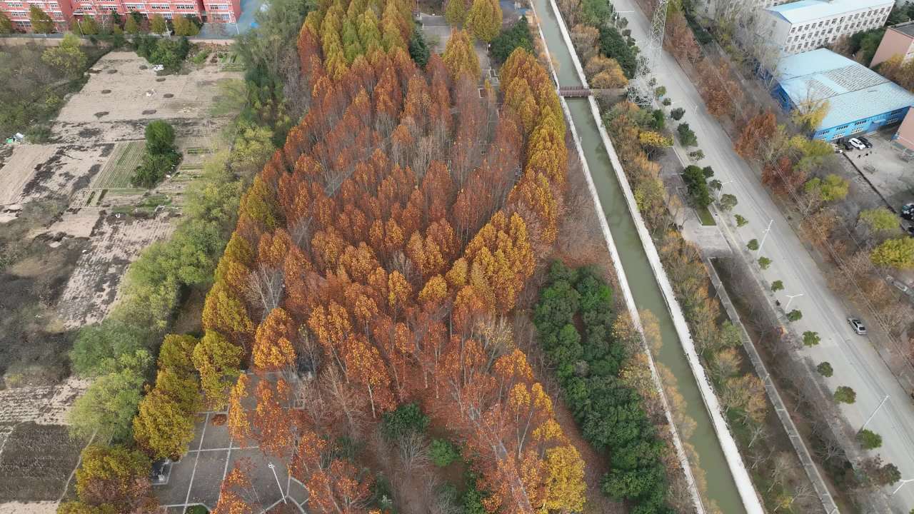 秋日城市航拍