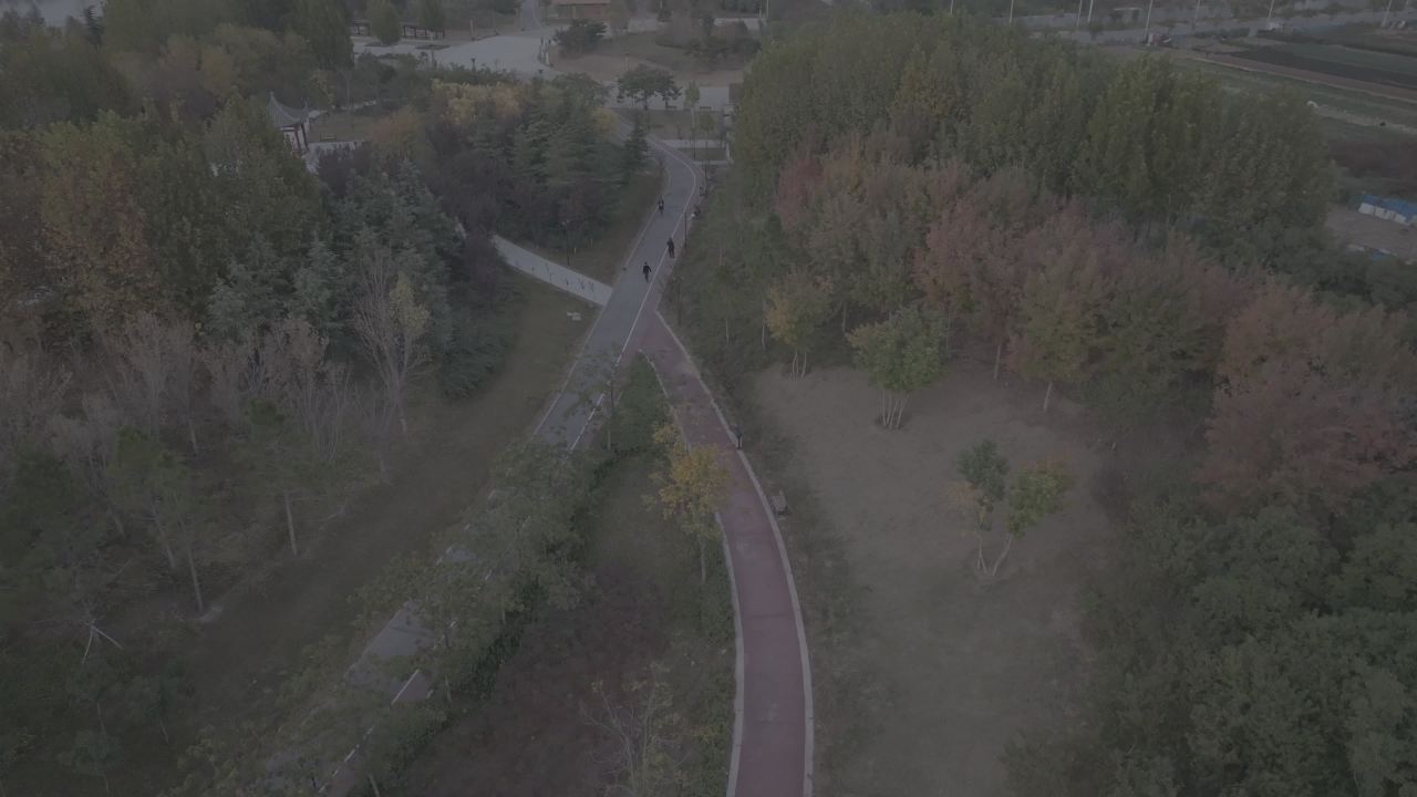 晨雾中的城市公园