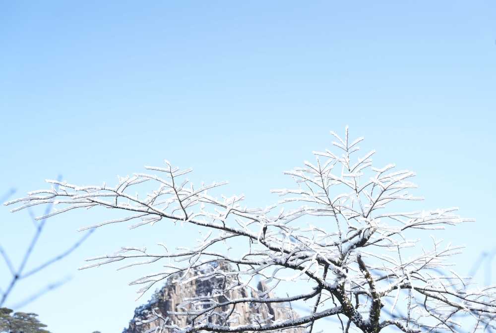 雪落黄山，雾凇云海——雪篇