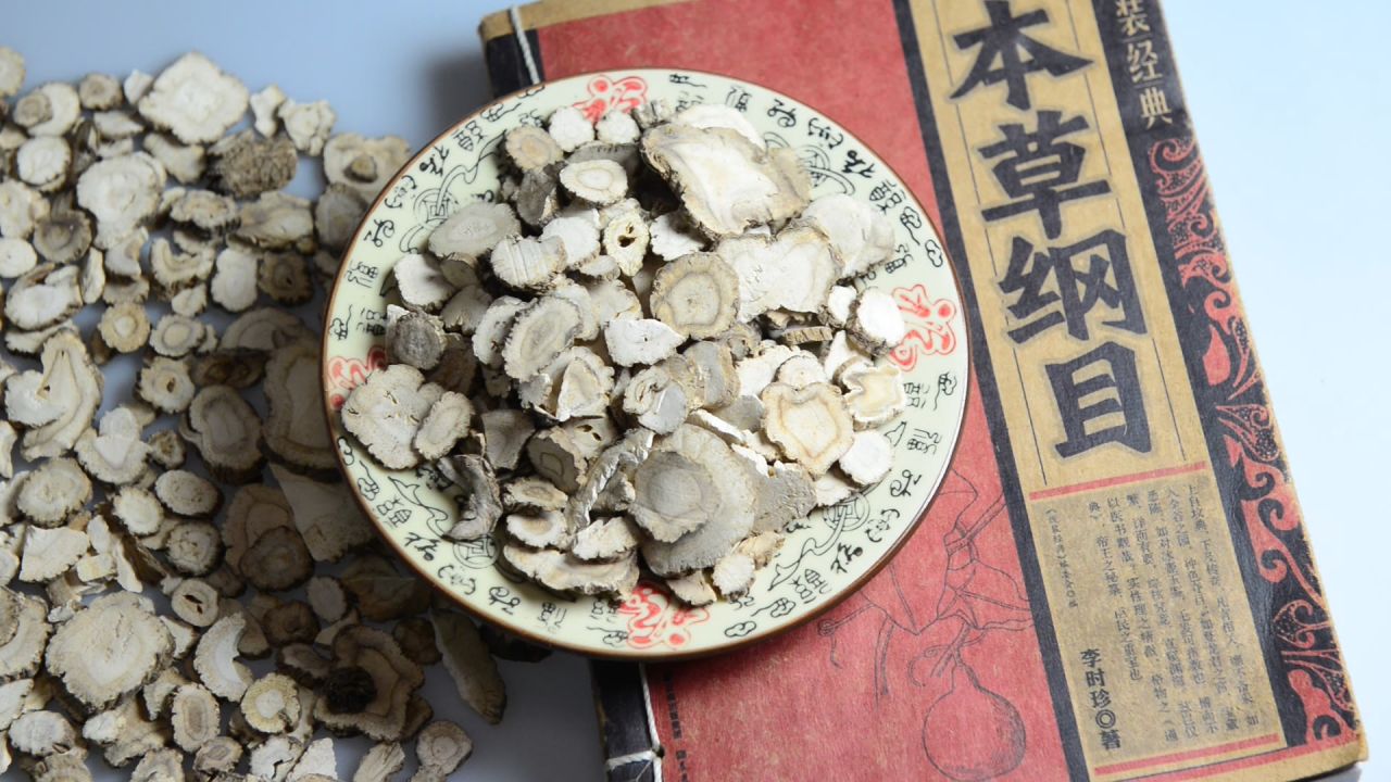 中药材白芷 15