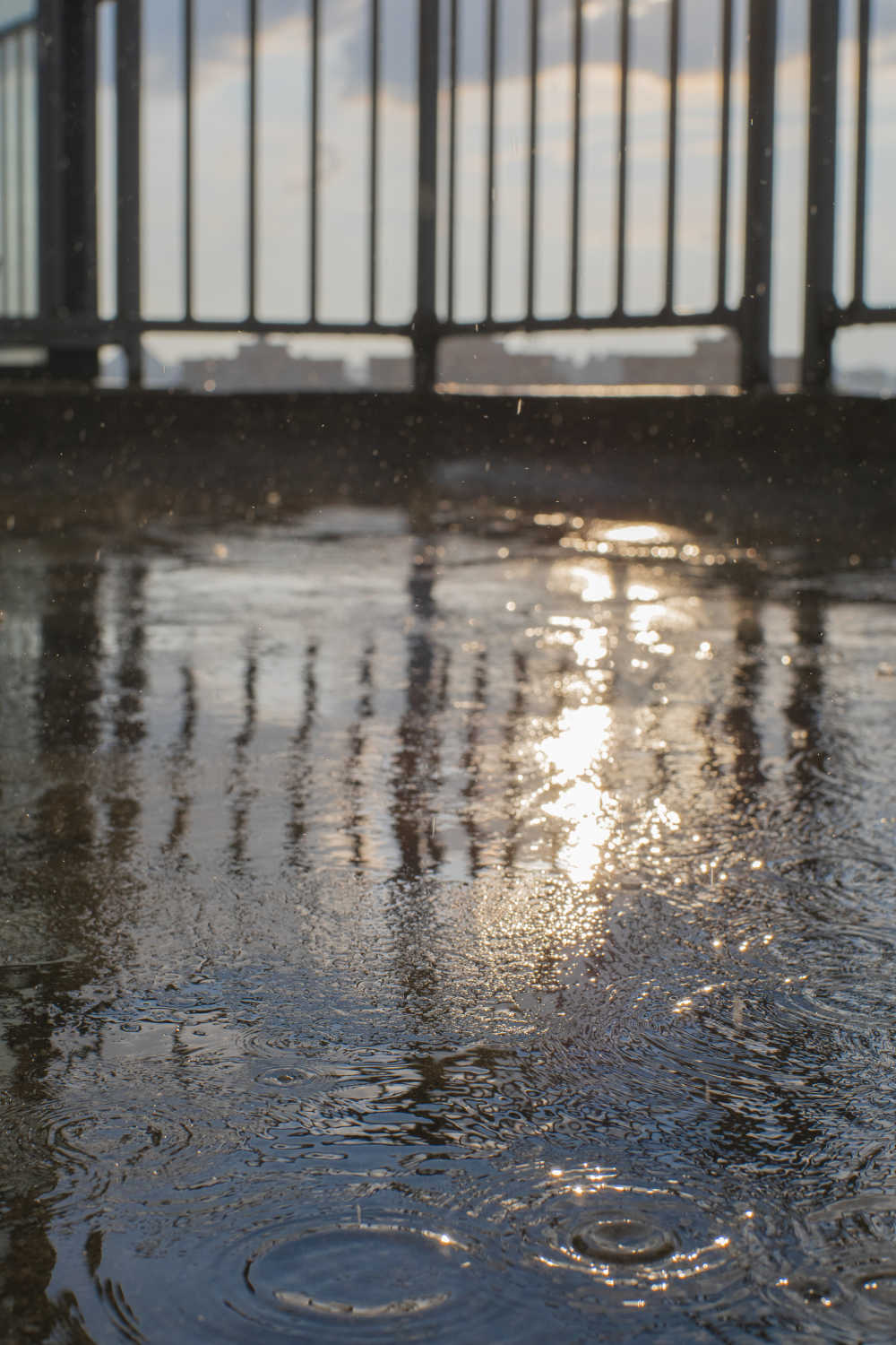 太阳雨