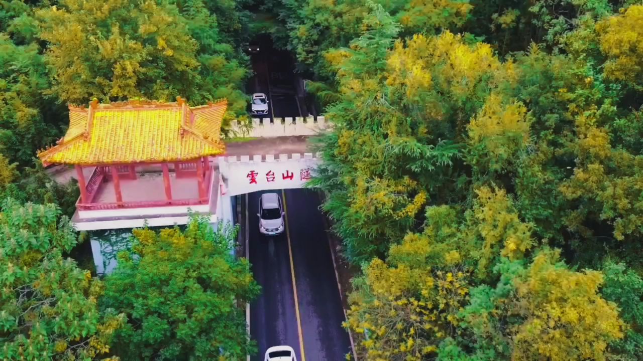 秋