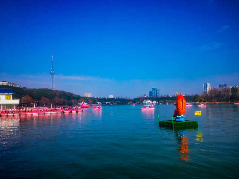 湖南长沙烈士公园年嘉湖风景摄影图