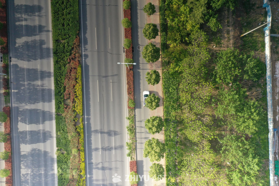 城市绿道