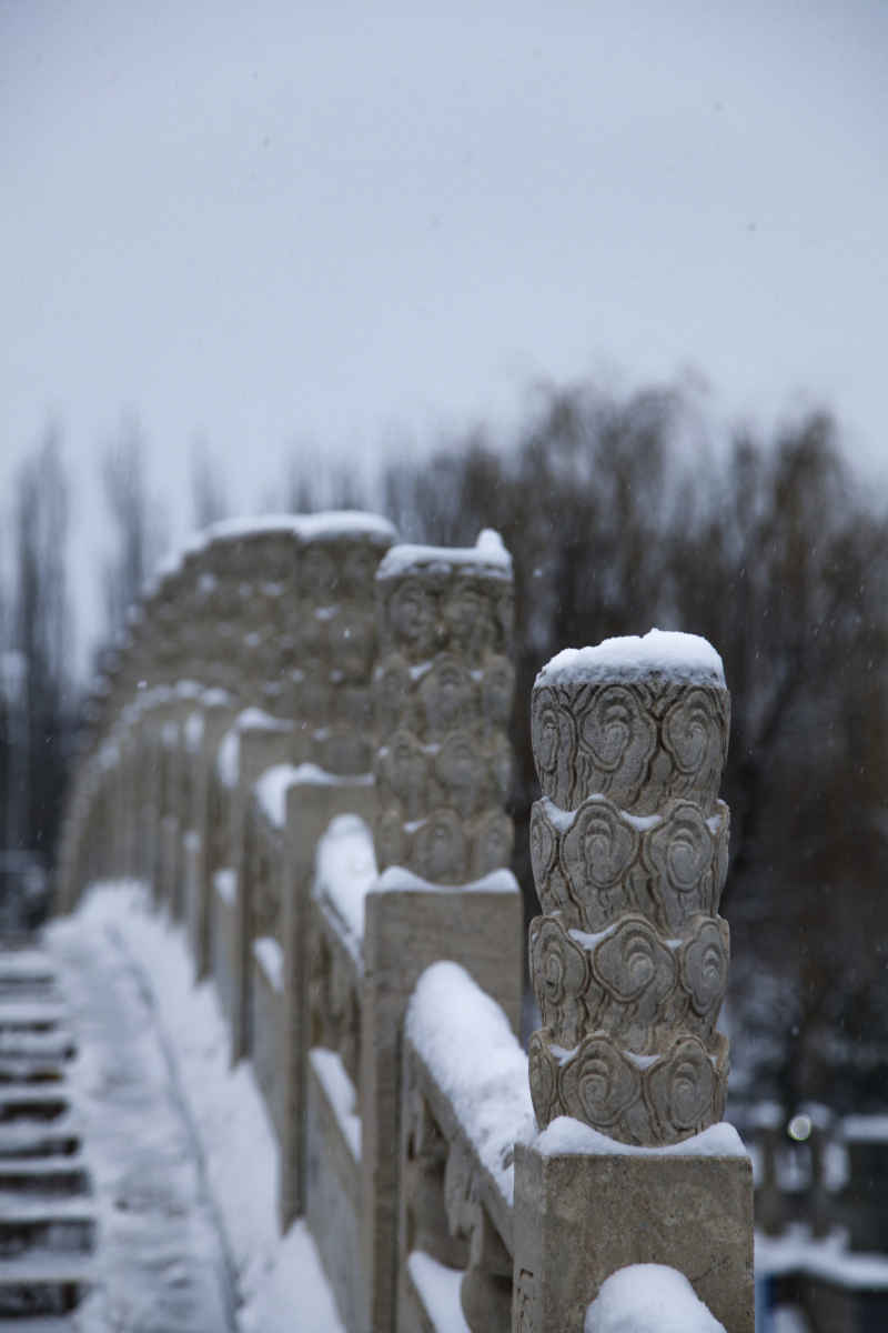 初雪 19