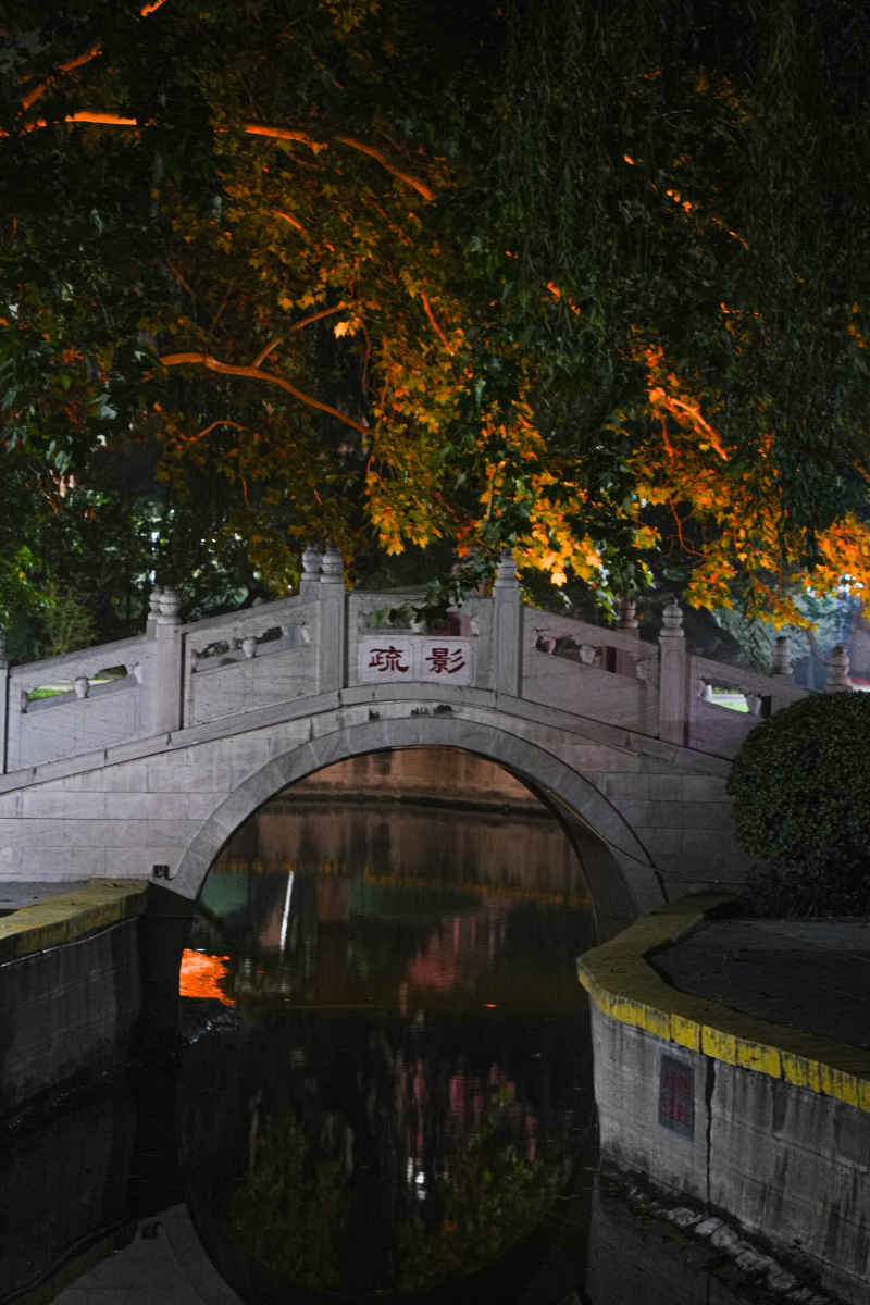 夜晚的公园 2