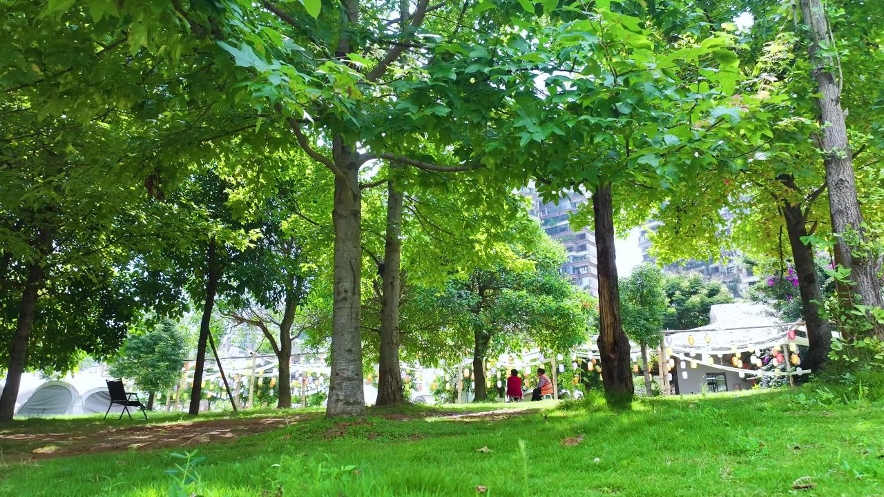 4k绿色城市公园环境草地阳光公园绿地