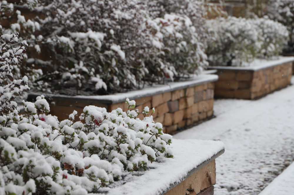 雪