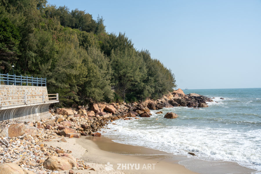 海滨绿树岩石景