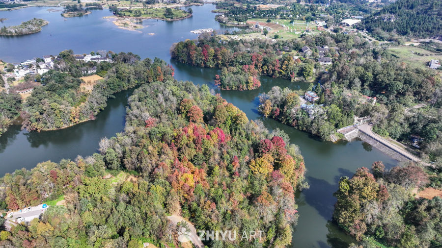 航拍水边枫叶美景  初冬枫叶似火 6