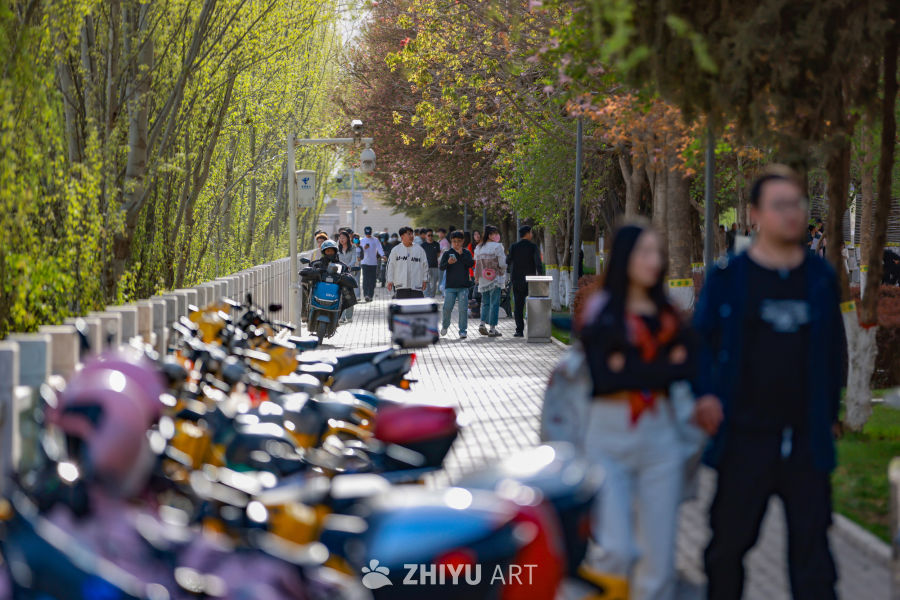 甘肃兰州：黄河之滨绿意盎然春景如画 13