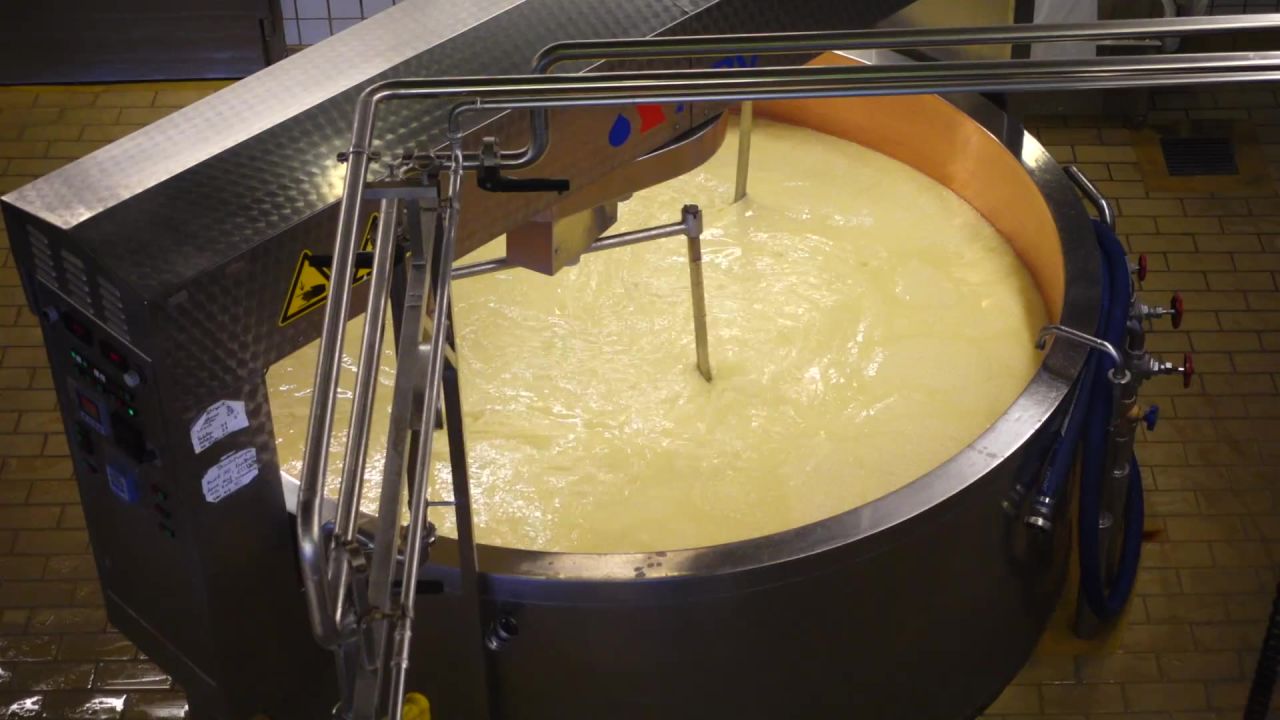 奶酪制造业奶酪制作