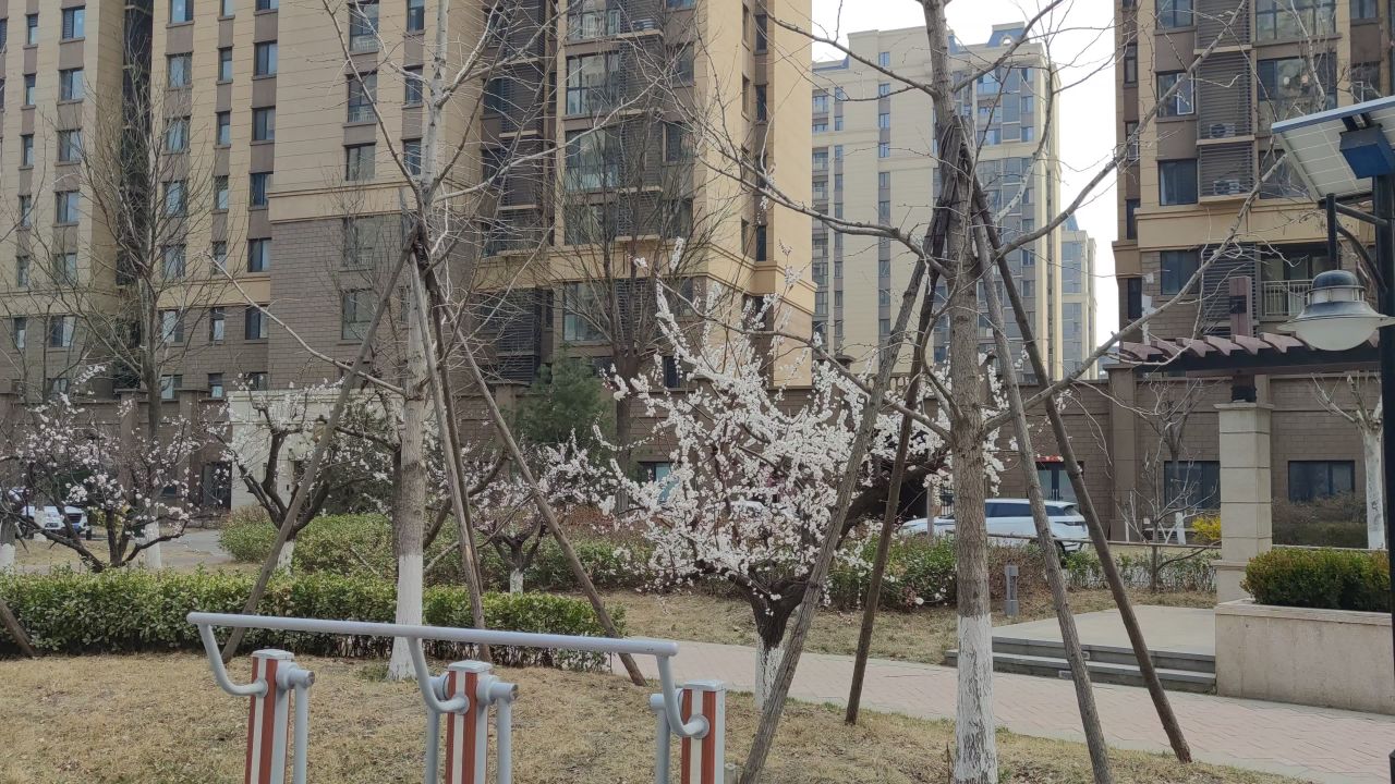 春景