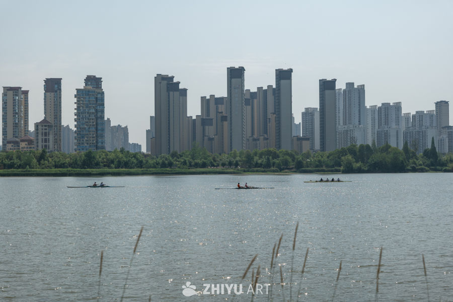 湿地公园一角 12