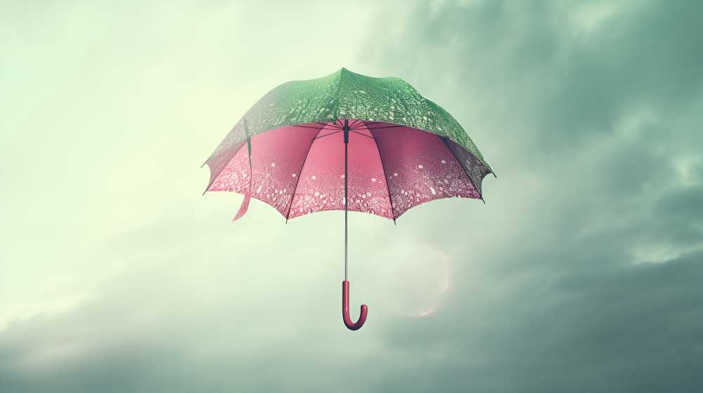 雨伞的艺术美
