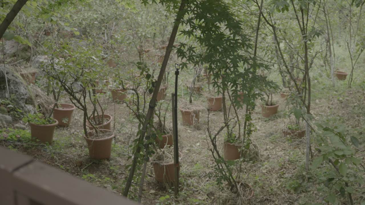 如意峰 19