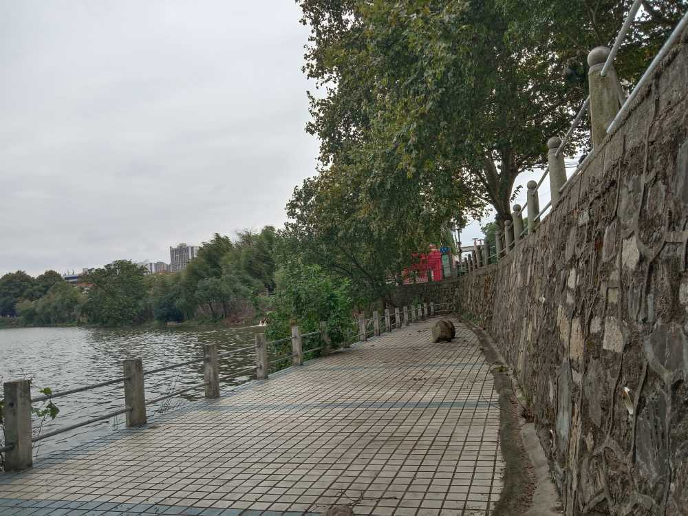 风景