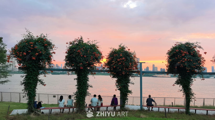 夕阳无限好，只是近黄昏 🌇